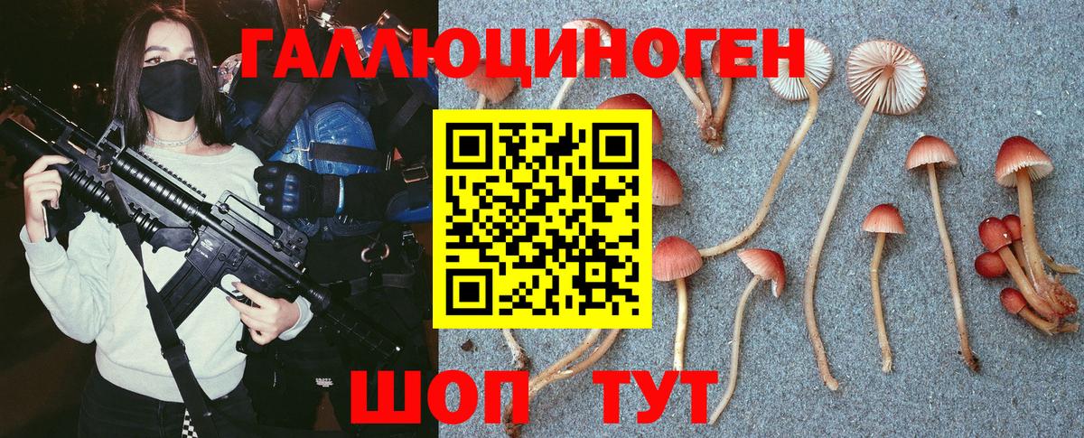 хочу   Вход с VPN  Углич  Псилоцибиновые грибы Psilocybine cubensis 
